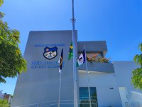 Resultado Parcial da Pesquisa de Satisfação 